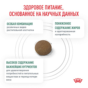 Royal Canin Satiety Weight Management (Сэтайети Вейт Менеджмент) Корм сухой для взрослых кошек, рекомендуемый для снижения веса