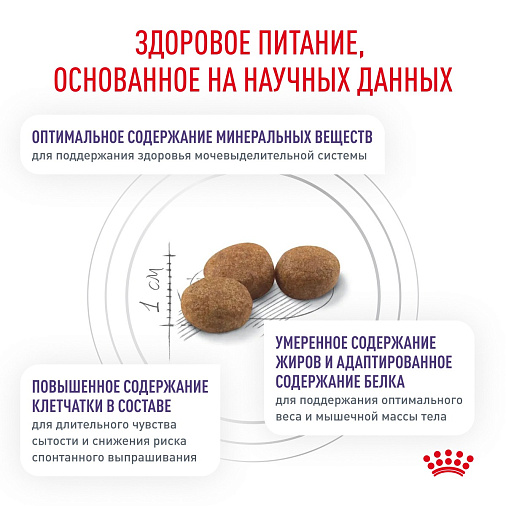 Royal Canin NEUTERED SATIETY BALANCE (НЬЮТРИД СЭТАЙЕТИ БЭЛЭНС) Корм сухой для взрослых котов и кошек с момента стерилизации до 7 лет
