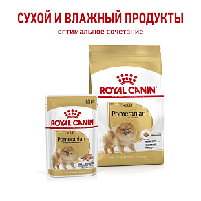 Royal Canin Pomeranian Adult Canine Влажный корм для собак породы померанский шпиц
