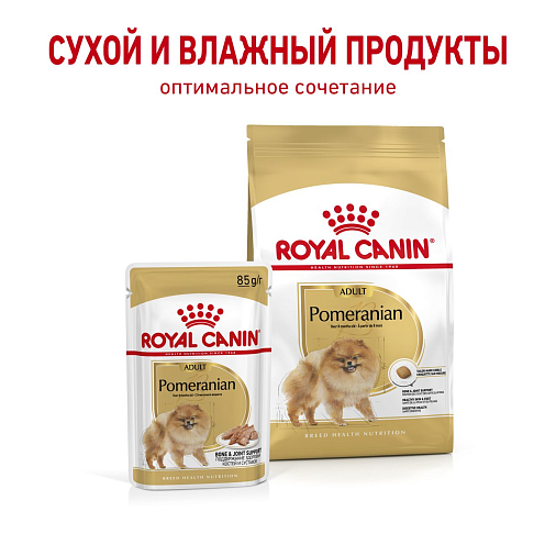 Royal Canin Pomeranian Adult Canine Влажный корм для собак породы померанский шпиц