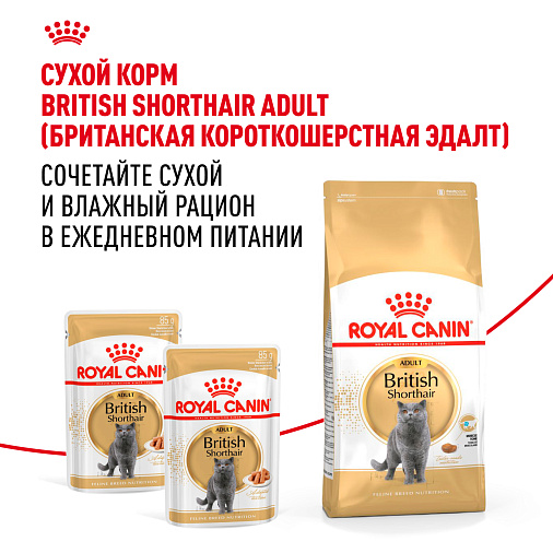 Royal Canin British Shorthair Adult Корм консервированный для взрослых британских короткошерстных кошек,соус