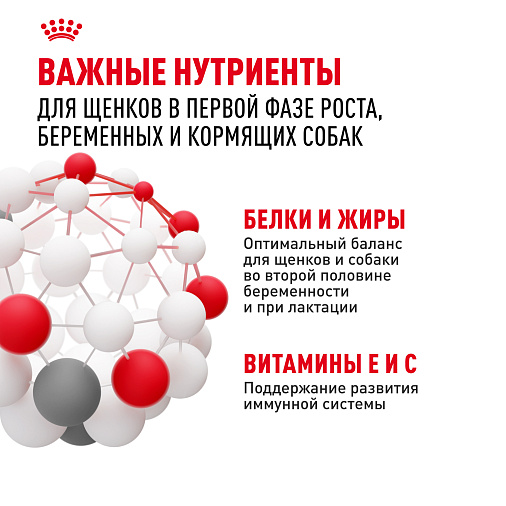 Royal Canin Giant Starter Корм сухой для щенков очень крупных размеров до 2 месяцев, беременных и кормящих сук
