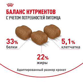 Royal Canin Hair&Skin Care Корм сухой для взрослых кошек для поддержания здоровья кожи и шерсти