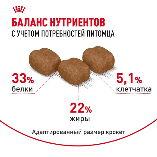 Royal Canin Hair&Skin Care Корм сухой для взрослых кошек для поддержания здоровья кожи и шерсти