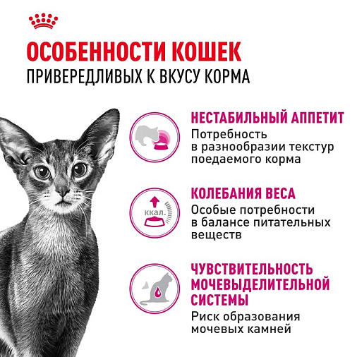 Royal Canin Savour Exigent Корм сухой сбалансированный для привередливых взрослых кошек от 1 года