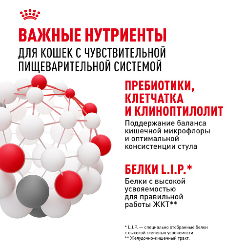 Royal Canin Digestive Care Корм консервированный полнорационный для взрослых кошек с чувствительным пищеварением, тонкие ломтики в соусе