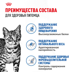 Royal Canin Indoor Sterilised (в желе) Корм консервированный полнорационный для взрослых кошек (в возрасте от 1 года до 7 лет), постоянно живущих в помещении