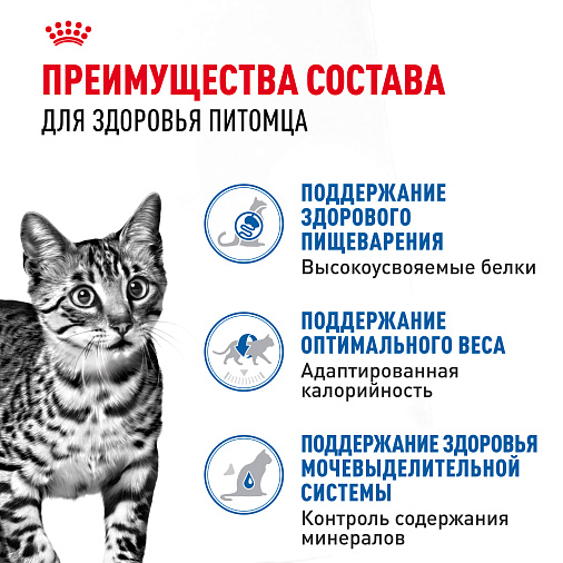 Royal Canin Indoor Sterilised (в желе) Корм консервированный полнорационный для взрослых кошек (в возрасте от 1 года до 7 лет), постоянно живущих в помещении