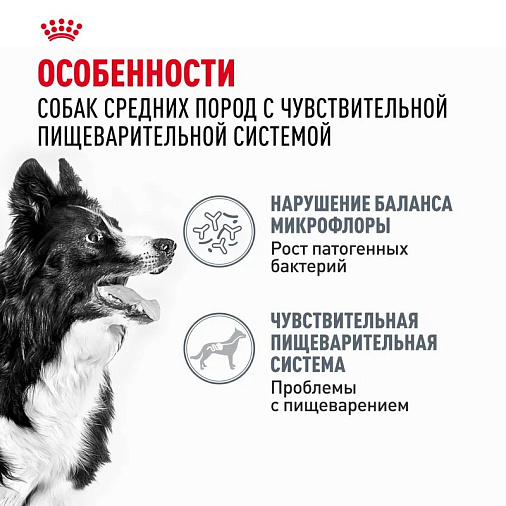 Royal Canin Medium Digestive Care Корм сухой для взрослых собак средних пород с чувствительным пищеварением