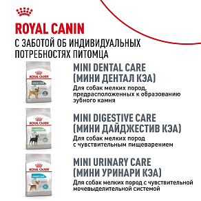 Royal Canin Mini Dermacomfort Корм сухой для взрослых собак мелких размеров при раздражениях и зуде кожи
