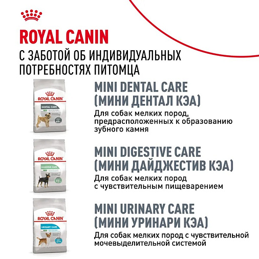 Royal Canin Mini Dermacomfort Корм сухой для взрослых собак мелких размеров при раздражениях и зуде кожи