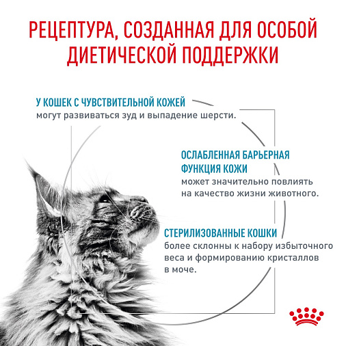 Royal Canin Skin & Coat (Скин энд Коат) Корм сухой для кошек для поддержания защитных функций кожи