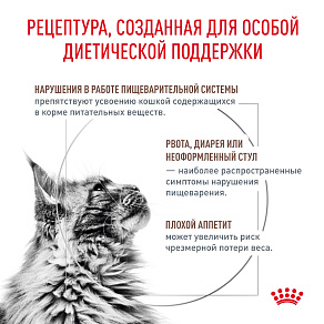 Royal Canin GASTROINTESTINAL (ГАСТРОИНТЕСТИНАЛ) Корм влажный для взрослых кошек при расстройствах пищеварения