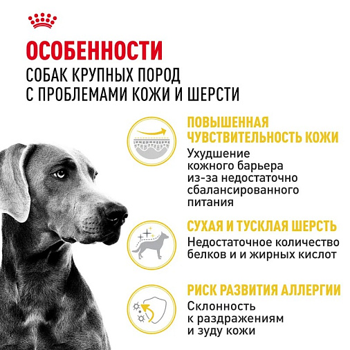 Royal Canin Maxi Dermacomfort Корм сухой для взрослых собак крупных размеров при раздражениях и зуде кожи