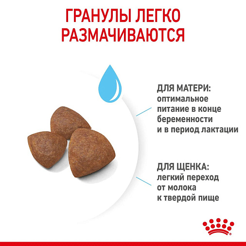 Royal Canin Medium Starter Mother&Babydog Корм сухой полнорационный для щенков средних размеров в период отъема и до 2х месяцев, беременных и кормящих сук
