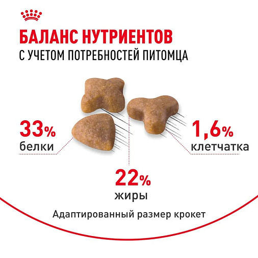 Royal Canin Sensible 33 Корм сухой сбалансированный для взрослых кошек с чувствительной пищеварительной системой