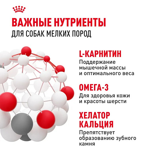 Royal Canin Mini Adult Корм сухой для взрослых собак мелких размеров от 10 месяцев