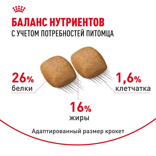 Royal Canin Pomeranian Adult Корм сухой для взрослых собак породы Померанский Шпиц