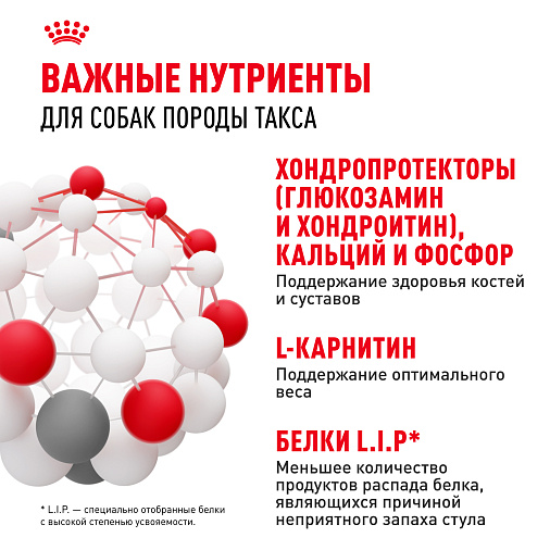 Royal Canin Dachshund Adult Корм сухой для взрослых собак породы Такса от 10 месяцев