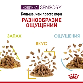 Royal Canin Sensory запах (в соусе) Корм консервированный полнорационный для взрослых кошек (в возрасте от 1 года до 7 лет), стимулирующий обонятельные рецепторы