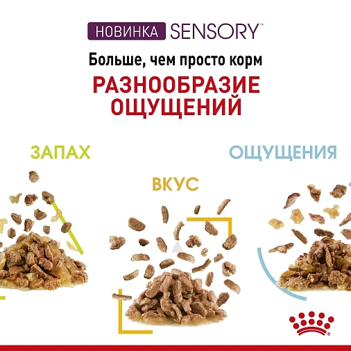 Royal Canin Sensory ощущения (в соусе) Корм консервированный полнорационный для взрослых кошек (в возрасте от 1 года до 7 лет), стимулирующий рецепторы ротовой полости