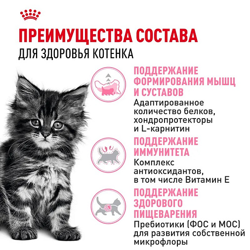 Royal Canin Maine Coon Kitten Корм сухой сбалансированный для котят породы Мэйн Кун