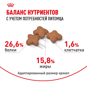 Royal Canin Mini Adult 8+ для взрослых собак мелких размеров (до 10 кг) старше 8 лет
