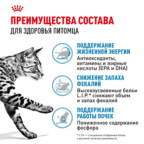 Royal Canin Indoor 7+ Корм сухой полнорационный сбалансированный для стареющих кошек (в возрасте от 7 до 12 лет), живущих в помещении