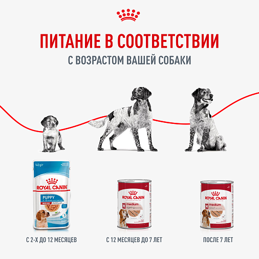 Royal Canin Medium Ageing Влажный корм для взрослых собак средних размеров от 7 лет и старше