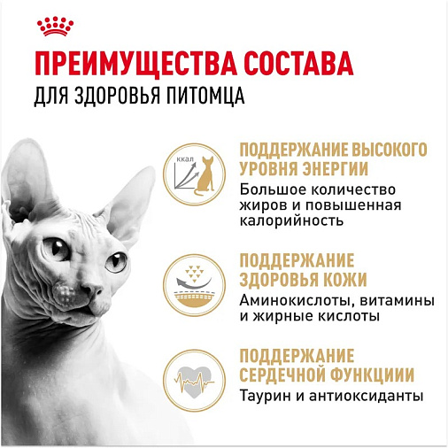 Royal Canin Sphynx Adult Корм сухой сбалансированный для взрослых кошек породы Сфинкс от 12 месяцев