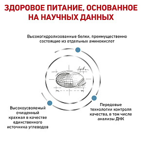 Royal Canin Anallergenic Корм сухой полнорационный диетический для взрослых кошек -  корм для кошек, применяемый при пищевой аллергии или пищевой непереносимости некоторых ингредиентов