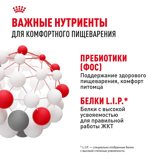 Royal Canin Sensible 33 Корм сухой сбалансированный для взрослых кошек с чувствительной пищеварительной системой