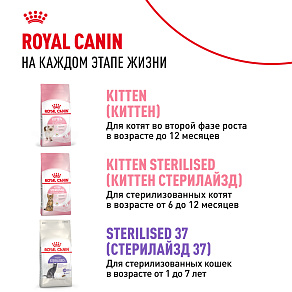 Royal Canin KITTEN STERILISED Корм консервированный полнорационный для кошек - Специально для кастрированных и стерилизованных котят (в возрасте от 6 до 12 месяцев), мелкие кусочки в желе