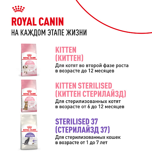 Royal Canin KITTEN STERILISED Корм консервированный полнорационный для кошек — Специально для кастрированных и стерилизованных котят (в возрасте от 6 до 12 месяцев), мелкие кусочки в соусе