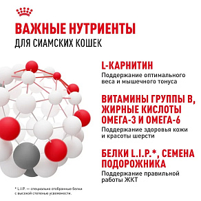 Royal Canin Siamese Adult Корм сухой сбалансированный для взрослых сиамских кошек от 12 месяцев