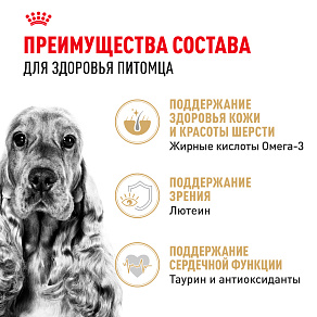 Royal Canin Cocker Adult Корм сухой для взрослых собак породы Кокер Спаниель от 12 месяцев