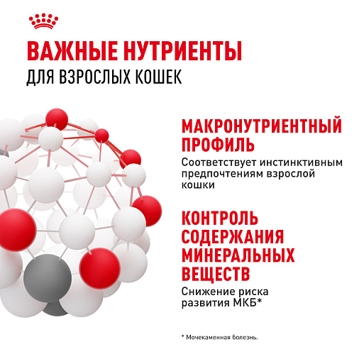 Royal Canin Instinctive Корм консервированный для взрослых кошек, желе