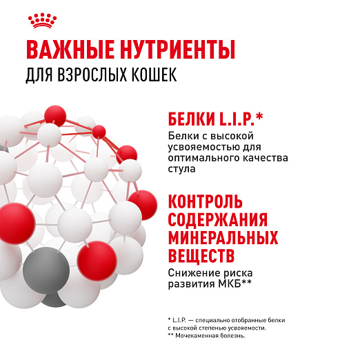 Royal Canin INDOOR STERILISED Корм консервированный полнорационный для взрослых кастрированных и стерилизованных кошек, живущих в помещении (кусочки в соусе)