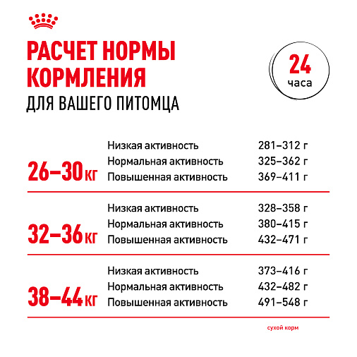 Royal Canin Maxi Adult Корм сухой для взрослых собак крупных размеров от 15 месяцев до 5 лет
