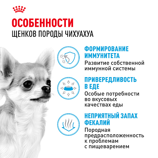 Royal Canin Chihuahua Puppy Корм сухой для щенков породы Чихуахуа до 8 месяцев