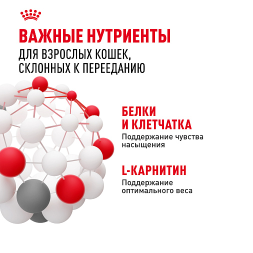 Royal Canin Appetite Control Care Корм сухой для взрослых кошек — для контроля выпрашивания корма