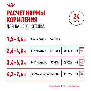 Royal Canin MAINE COON KITTEN Корм консервированный полнорационный для кошек - Специально для котят породы Мэйн Кун в возрасте до 15 месяцев (мелкие кусочки в соусе)