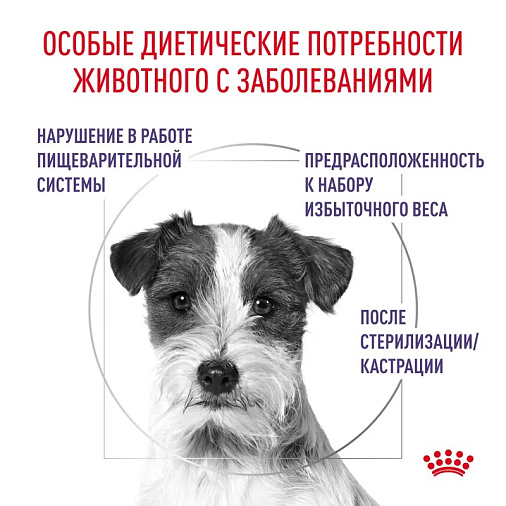 Royal Canin Neutered Adult Small Dogs (Ньютрид Эдалт Смол Догз) Корм сухой для взрослых стерилизованных/кастрированных собак мелких пород