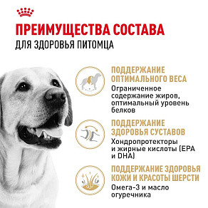 Royal Canin Labrador Retriever Adult Корм сухой для взрослых собак породы Лабрадор Ретривер от 15 месяцев