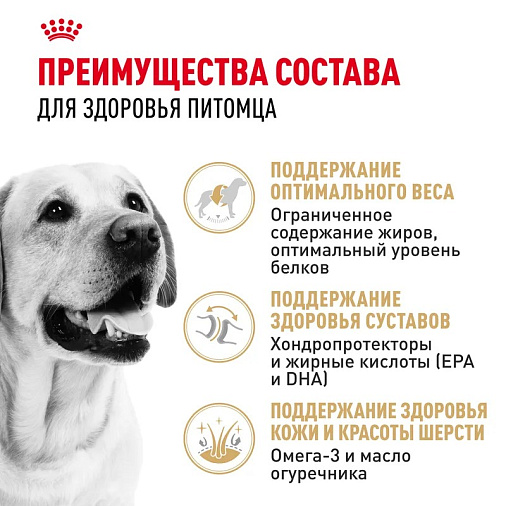 Royal Canin Labrador Retriever Adult Корм сухой для взрослых собак породы Лабрадор Ретривер от 15 месяцев
