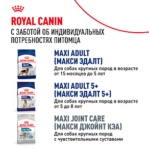 Royal Canin Maxi Ageing 8+ Корм сухой для стареющих собак крупных размеров от 8 лет и старше