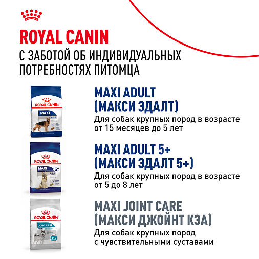 Royal Canin Maxi Ageing 8+ Корм сухой для стареющих собак крупных размеров от 8 лет и старше