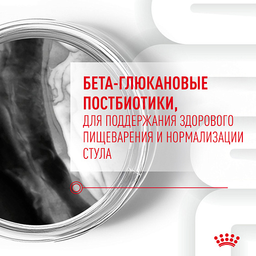 Royal Canin Immunity&Digestion Chews лакомство для щенков, дополнительное питание для иммунитета и пищеварения