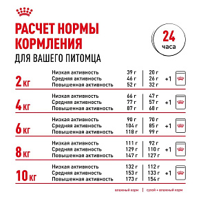 Royal Canin Mini Dermacomfort Корм сухой для взрослых собак мелких размеров при раздражениях и зуде кожи