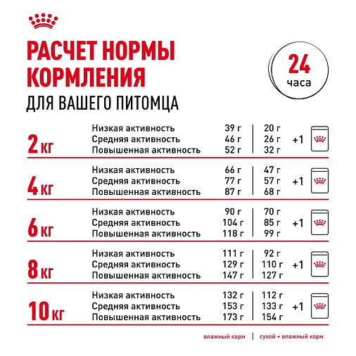Royal Canin Mini Dermacomfort Корм сухой для взрослых собак мелких размеров при раздражениях и зуде кожи